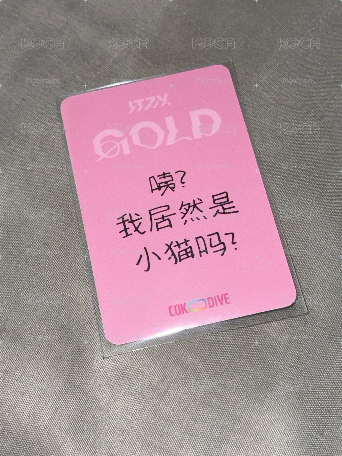 禮志GOLD中背特典