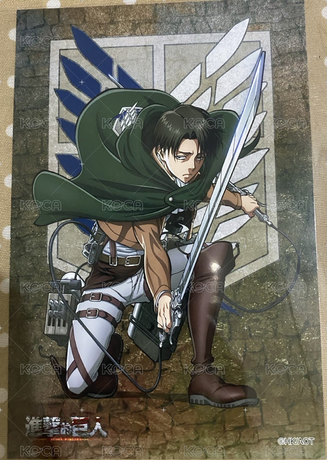 戰鬥姿兵長