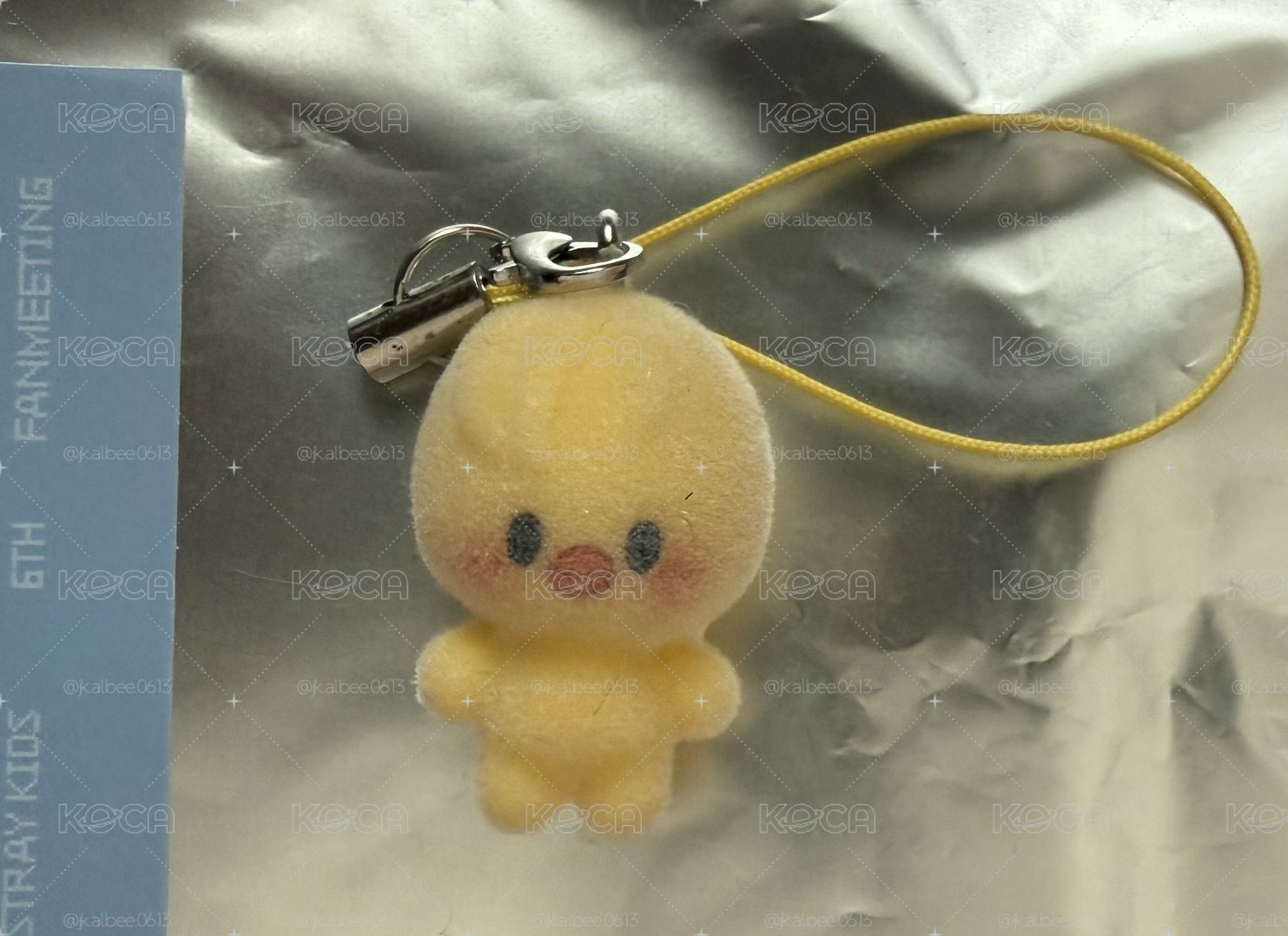 小小雞