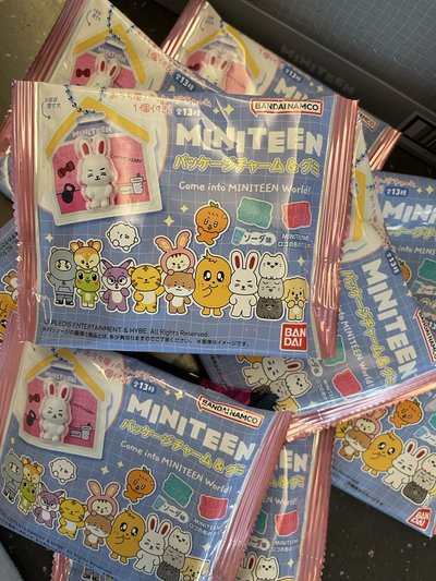 SEVENTEEN MINITEEN 食玩