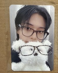狗狗