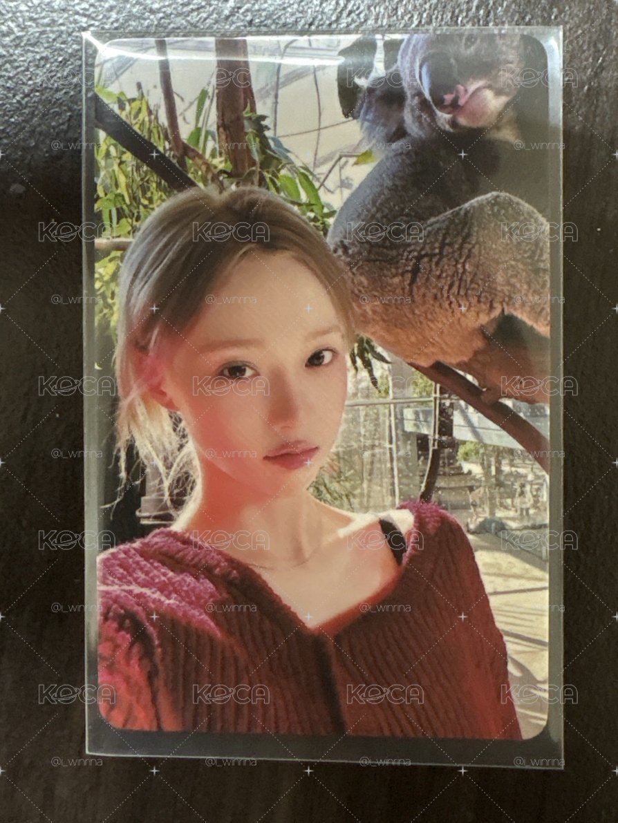 無尾熊冬