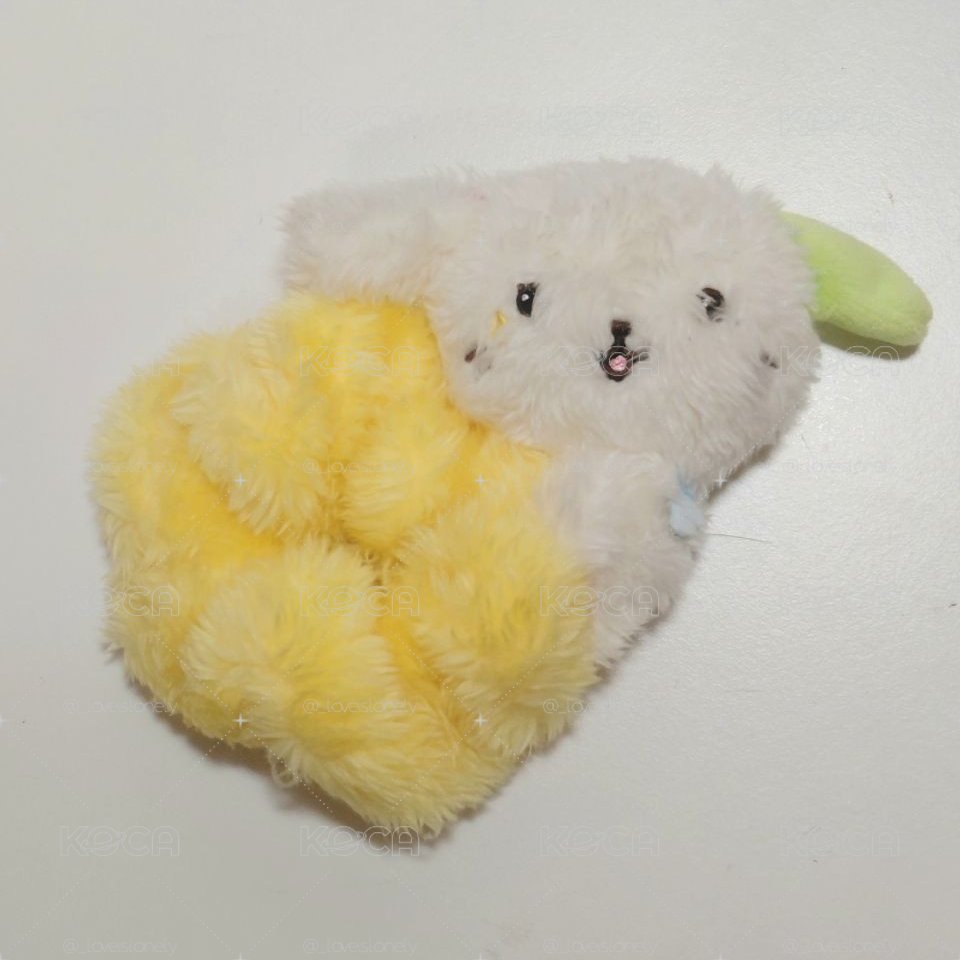 遼髮圈+圖二小卡