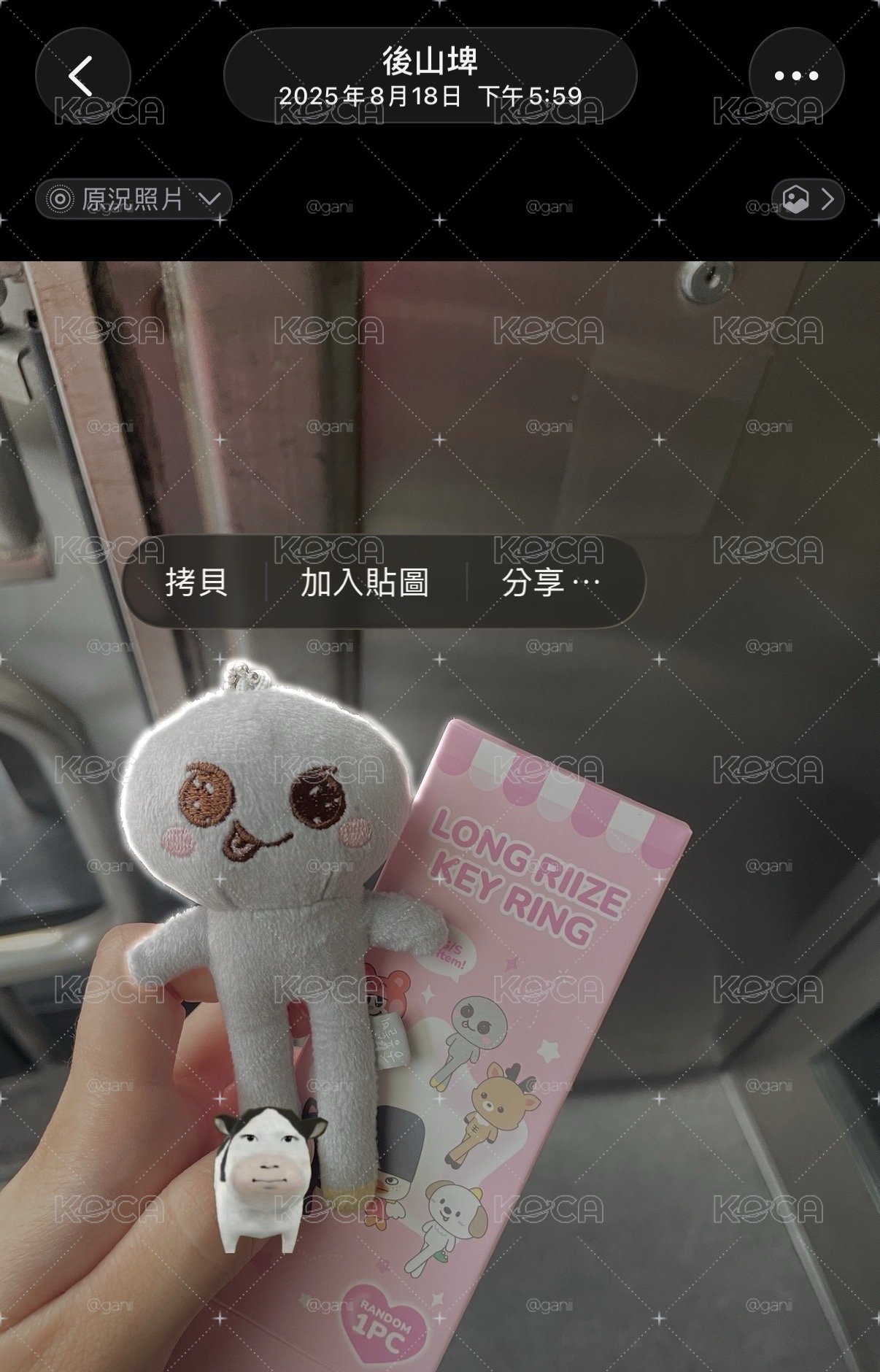 長腿宋龍石 宋銀碩 長腿娃 RIIZE