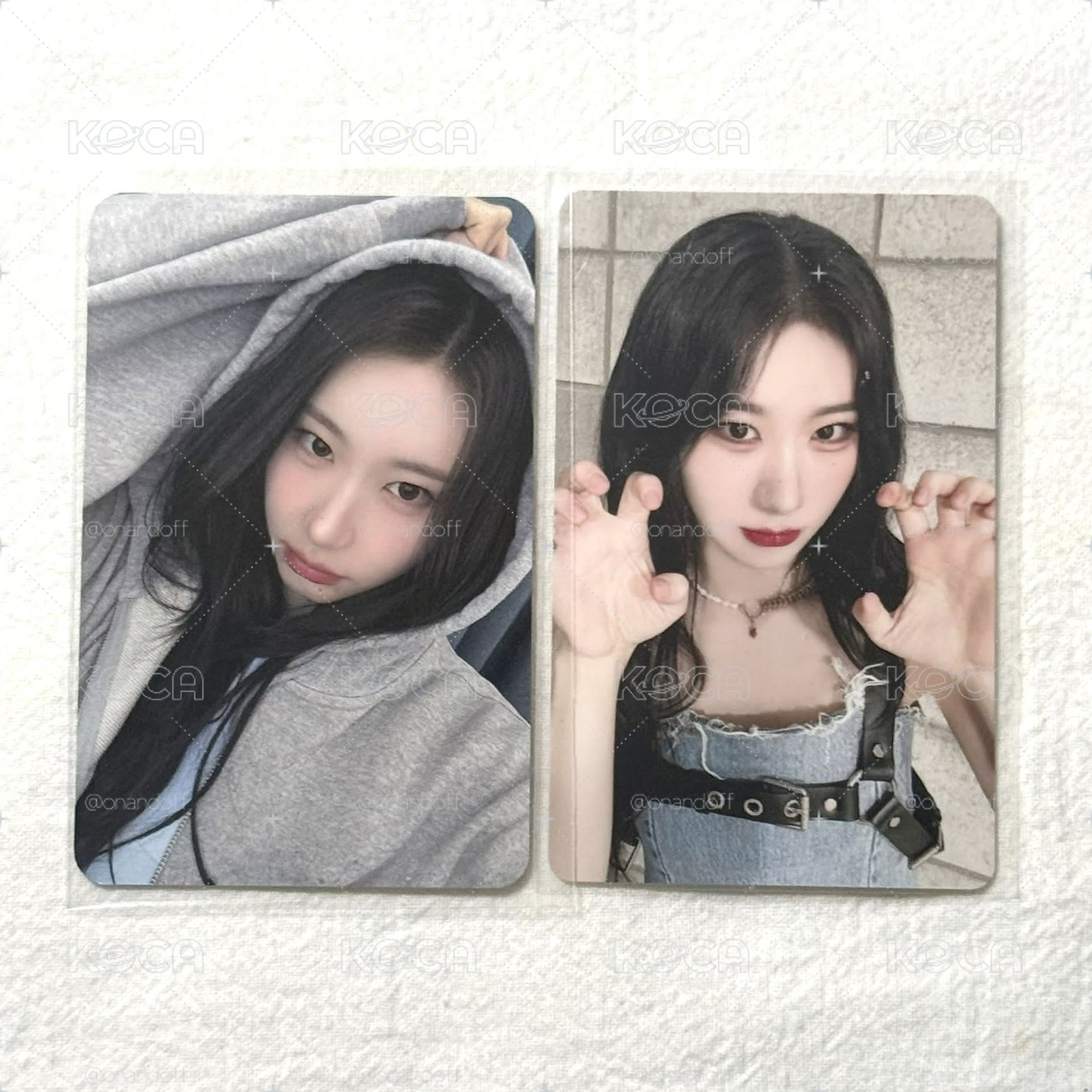 彩領motto外套卡➕日周貓爪