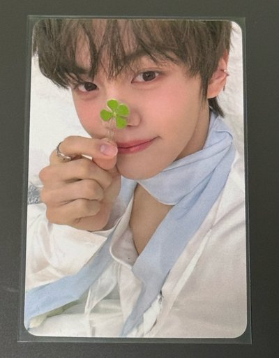 四葉草奎（需多帶）