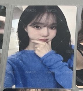 Ju藍莓冬