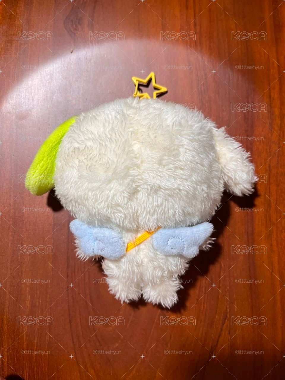 遼原皮