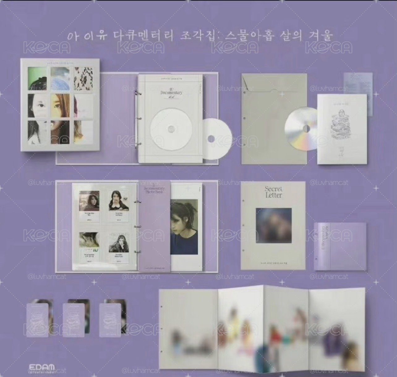  IU 李知恩 碎片集 - 紀錄片 29歲的冬天 DVD+藍光