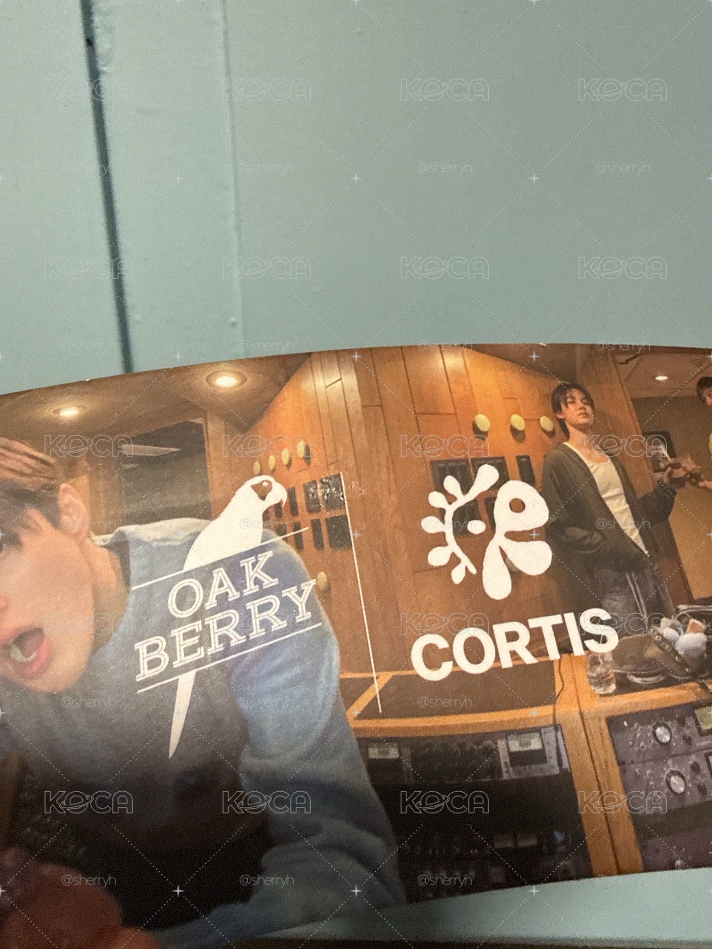 【杯套+夾子】OAKBERRY CORTIS BOWL ver. 
