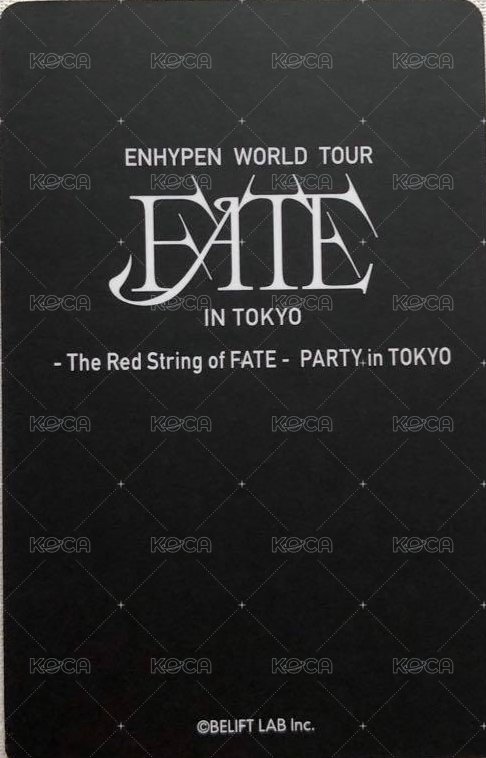 FATE世巡 The Red String of FATE 入場卡 / 場限卡  背面