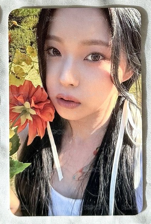 圭珍