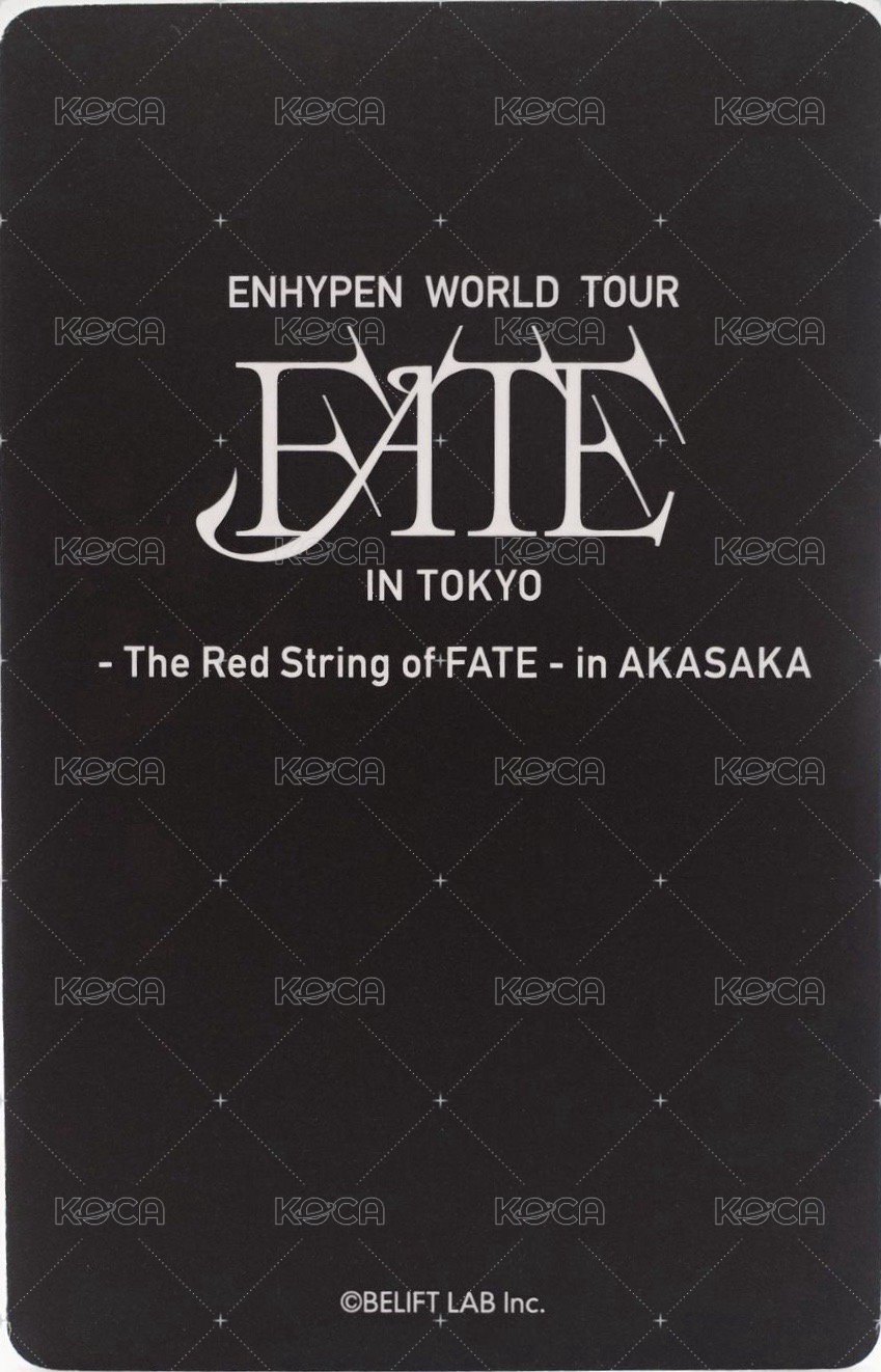 FATE世巡 赤坂Black Ver. 入場卡 / 場限卡  背面