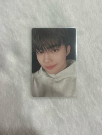 迷二毛踢