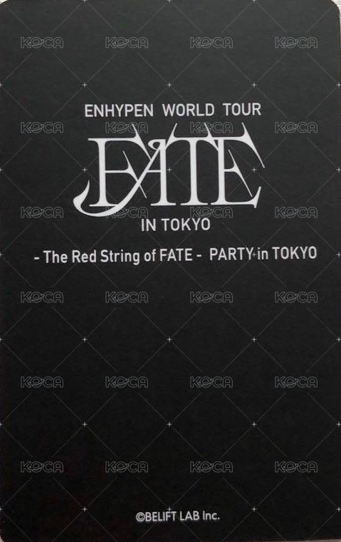 FATE世巡 入場卡 / 場限卡  背面
