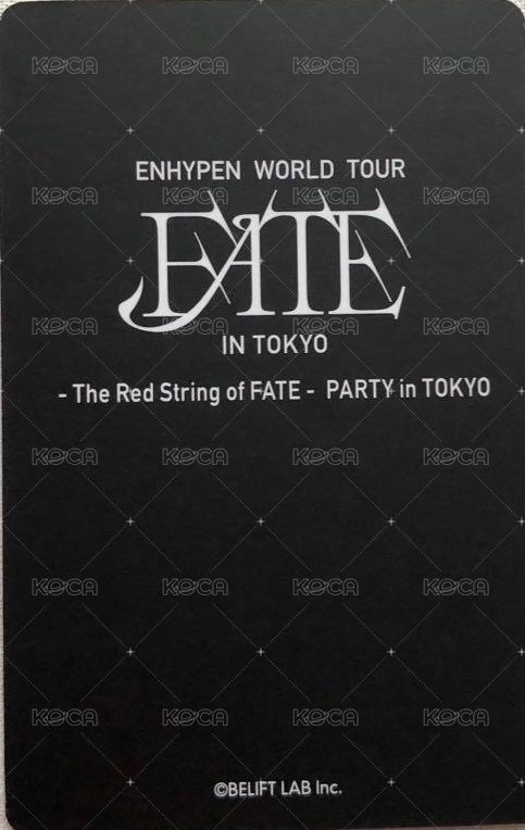 FATE世巡 入場卡 / 場限卡  背面