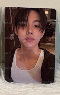 迷二 Portrait B 電子專 專輯卡 