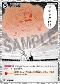 TCG P07 R 卡牌遊戲 09