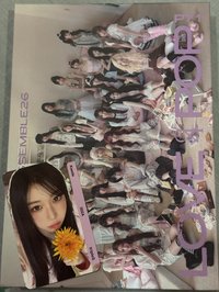 9粉版