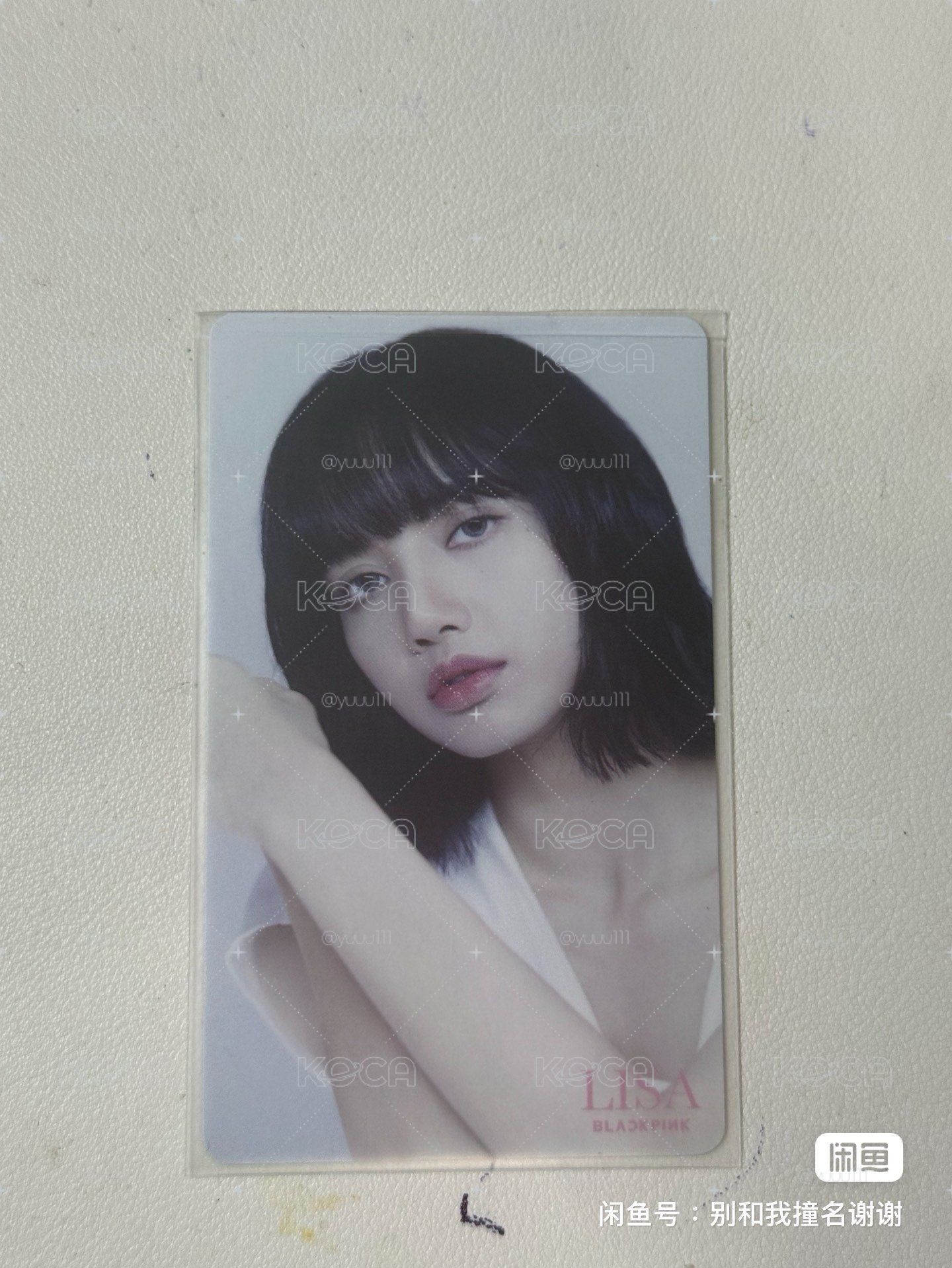 dg 環球莎