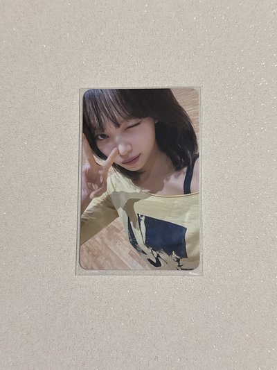 ms4.0中文卡背采