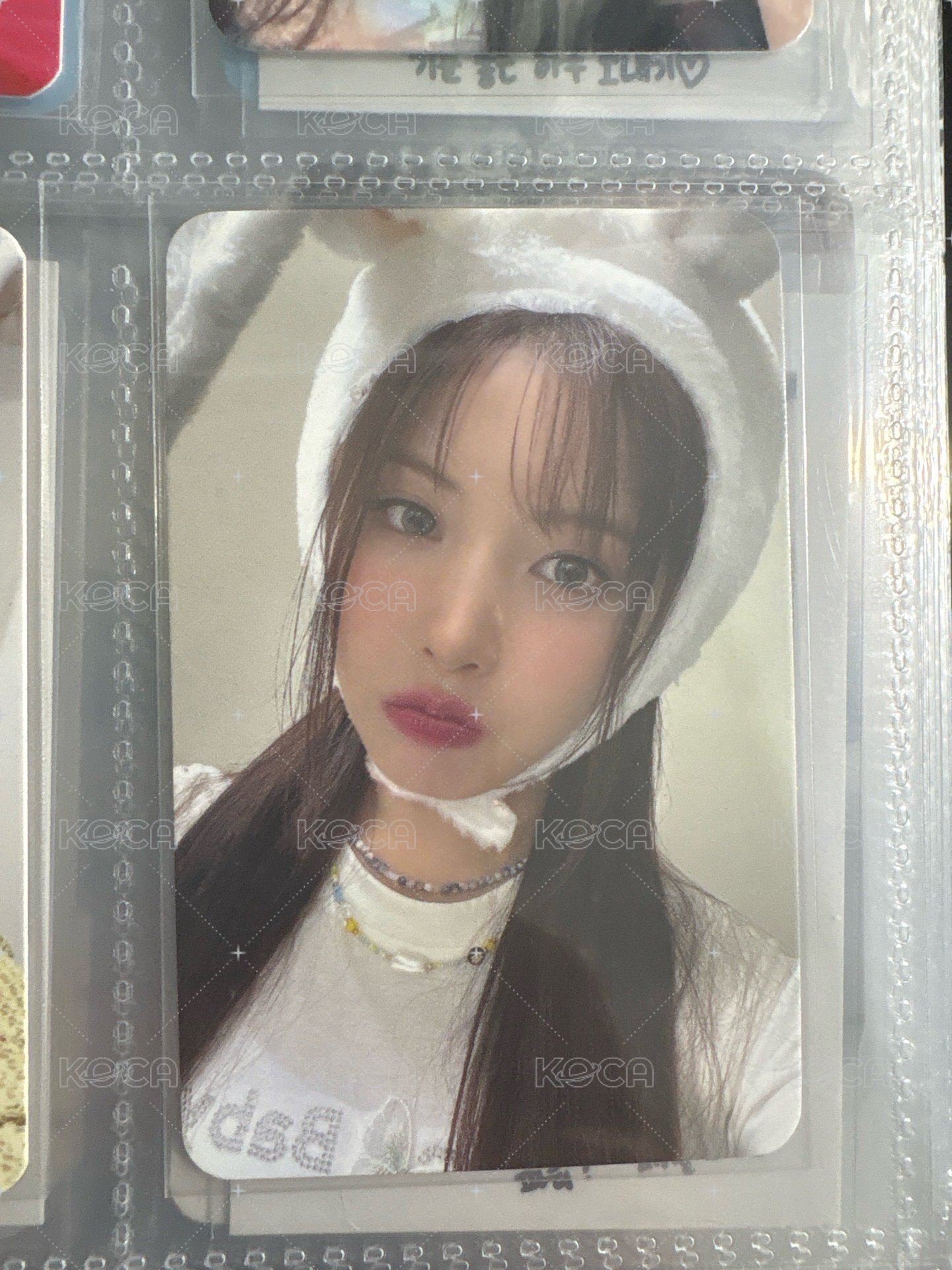 兔帽友