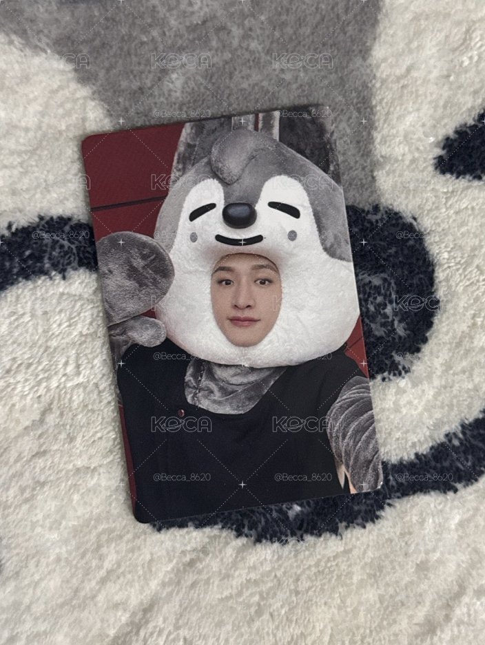 燦🐺 MAXIDENT jyp 特典卡