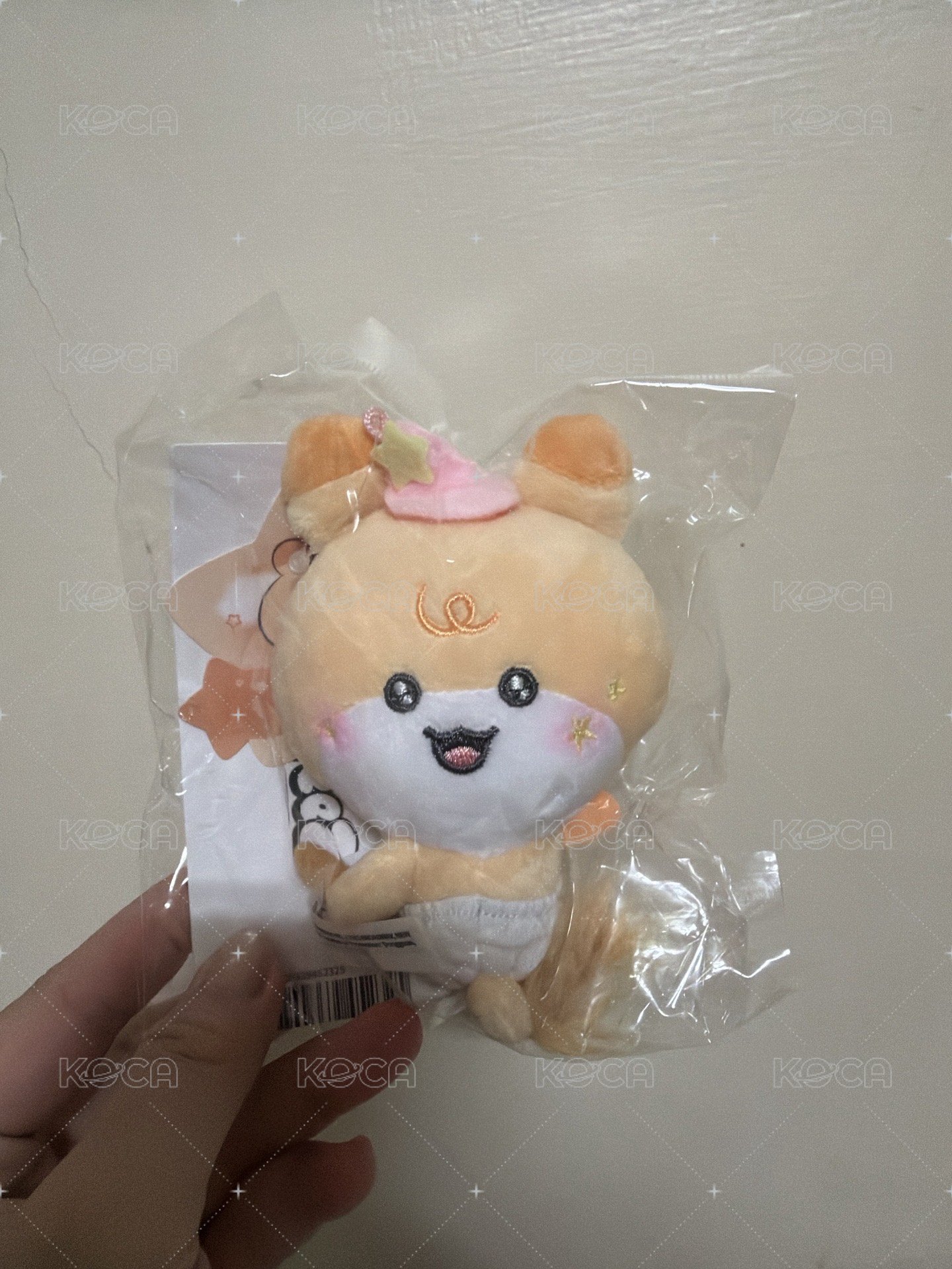 飛天掃帚娃 弘中