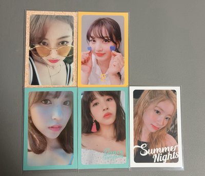 特二 summer night 專卡 志效 mina 多賢