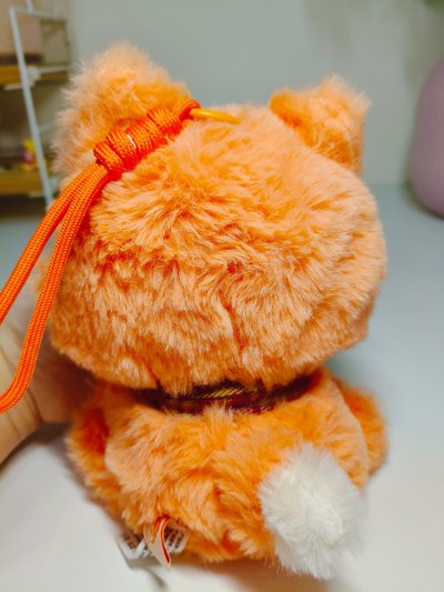 🧡Q寶幼稚園小狐狸盲盒🧡