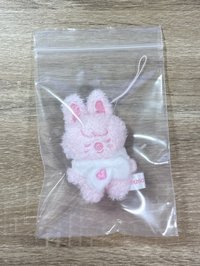 🐽