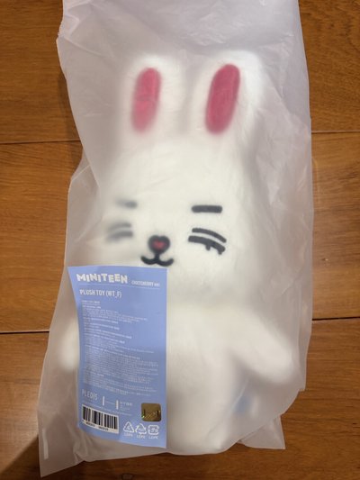 miniteen 站娃