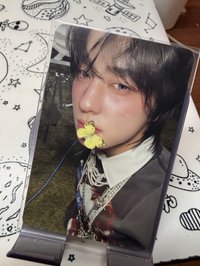 叼著蝴蝶