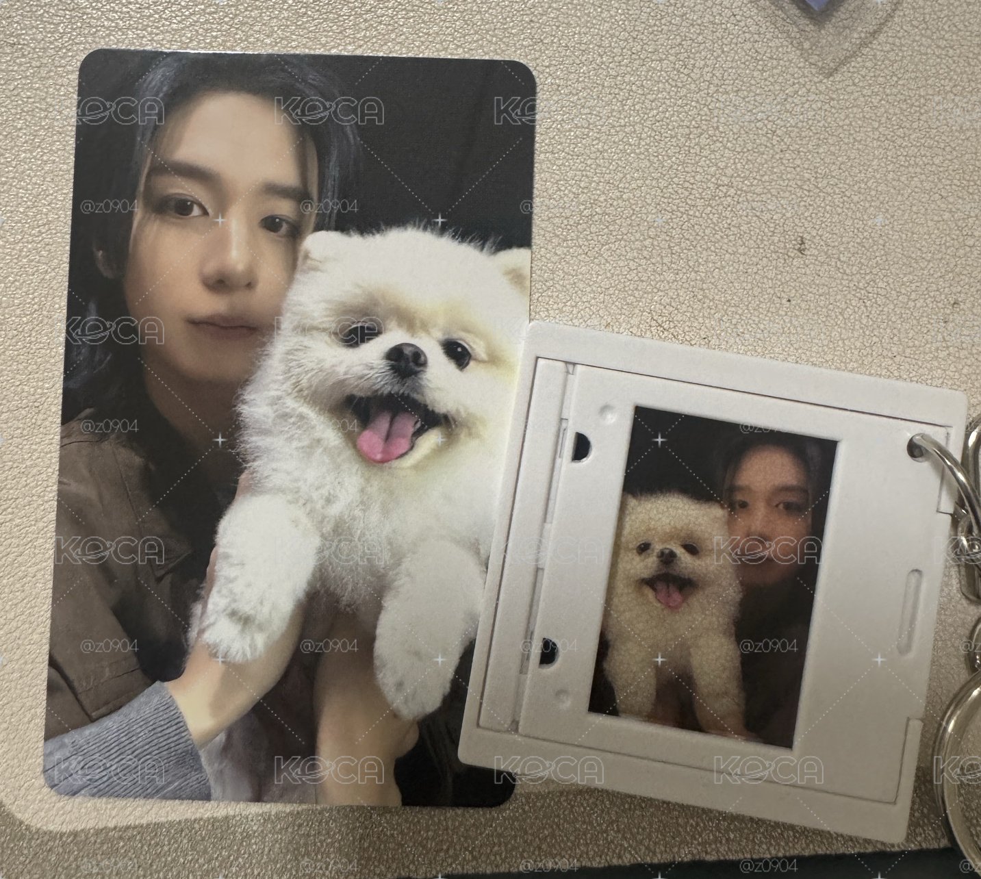#現貨 wvs5狗狗卡（含5吊飾湊套）