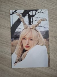 栗