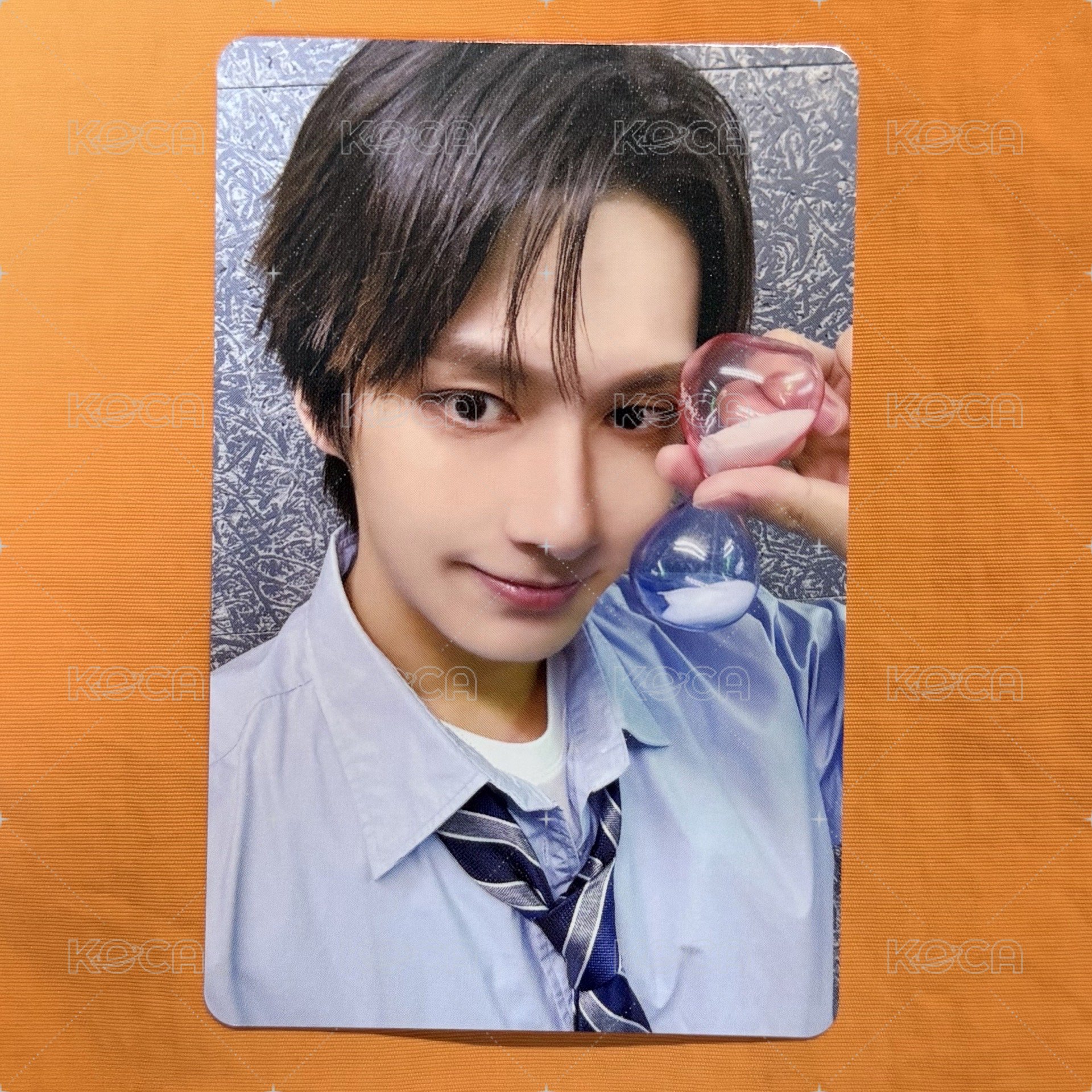 俊 WVS