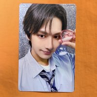 俊 WVS