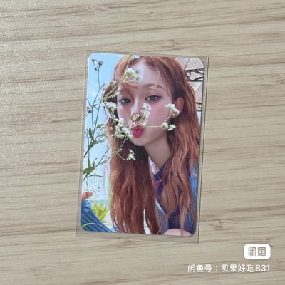 dg 聞花冬