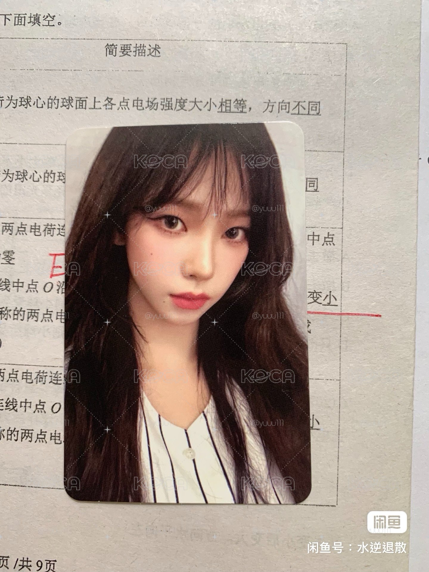 dg 球衣柚