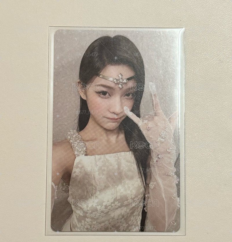 羽 專卡