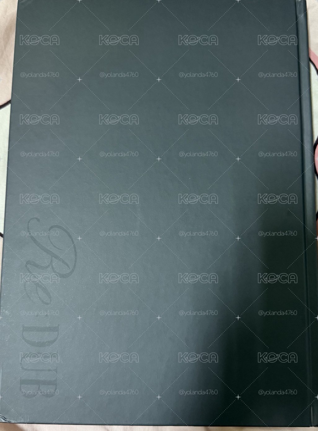 韓勝宇寫真書