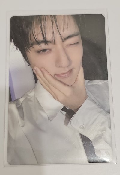 TREASURE PLEASURE HARUTO 🦋