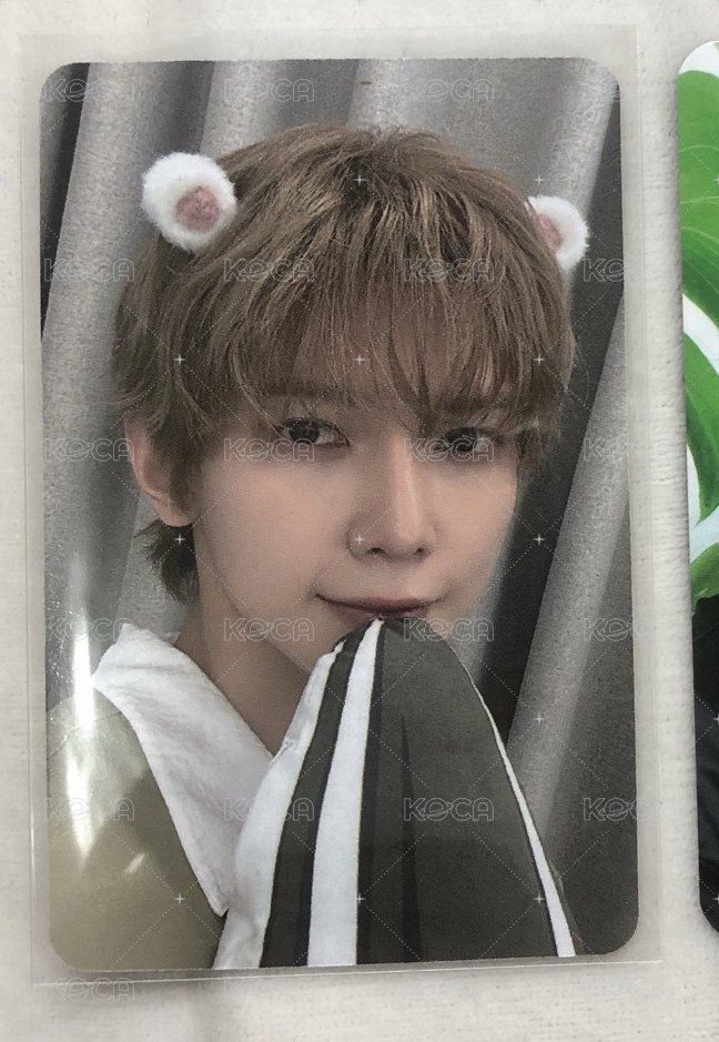 GH5倉鼠🐹