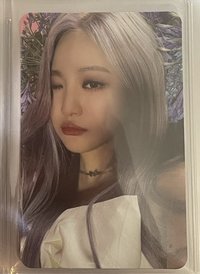 Wink寧