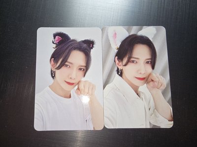 黑白貓小尚🐈‍⬛🐈