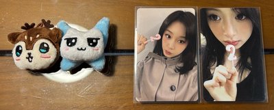 兩週年日通