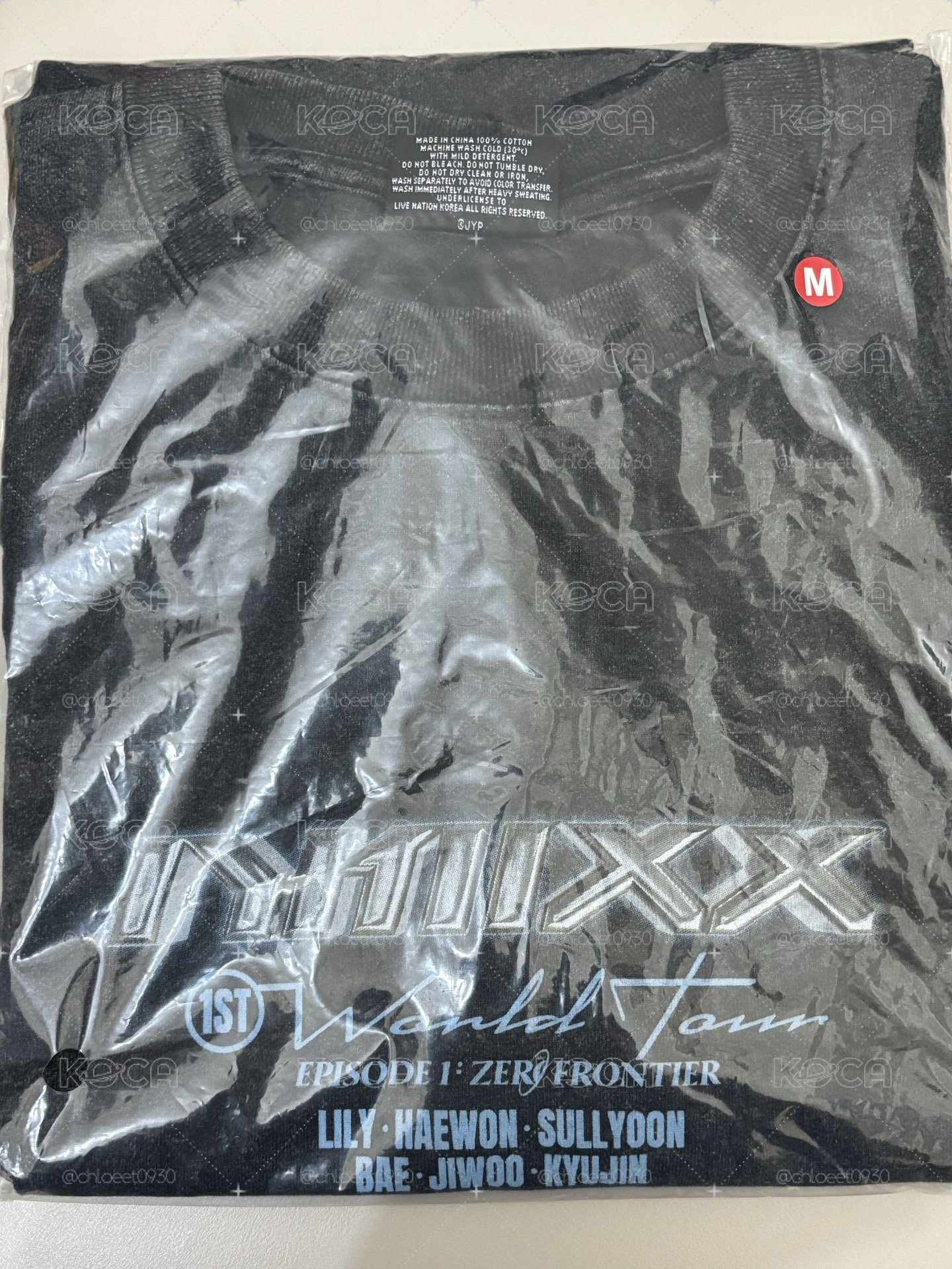 NMIXX 高雄場 場週T 3號 人像T（M)