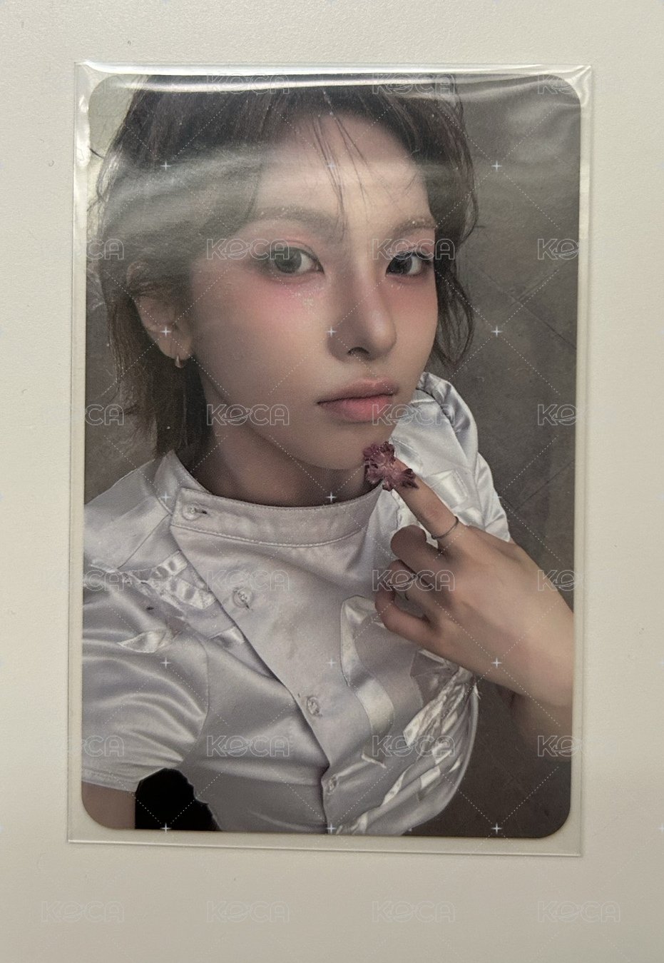 6 專卡
