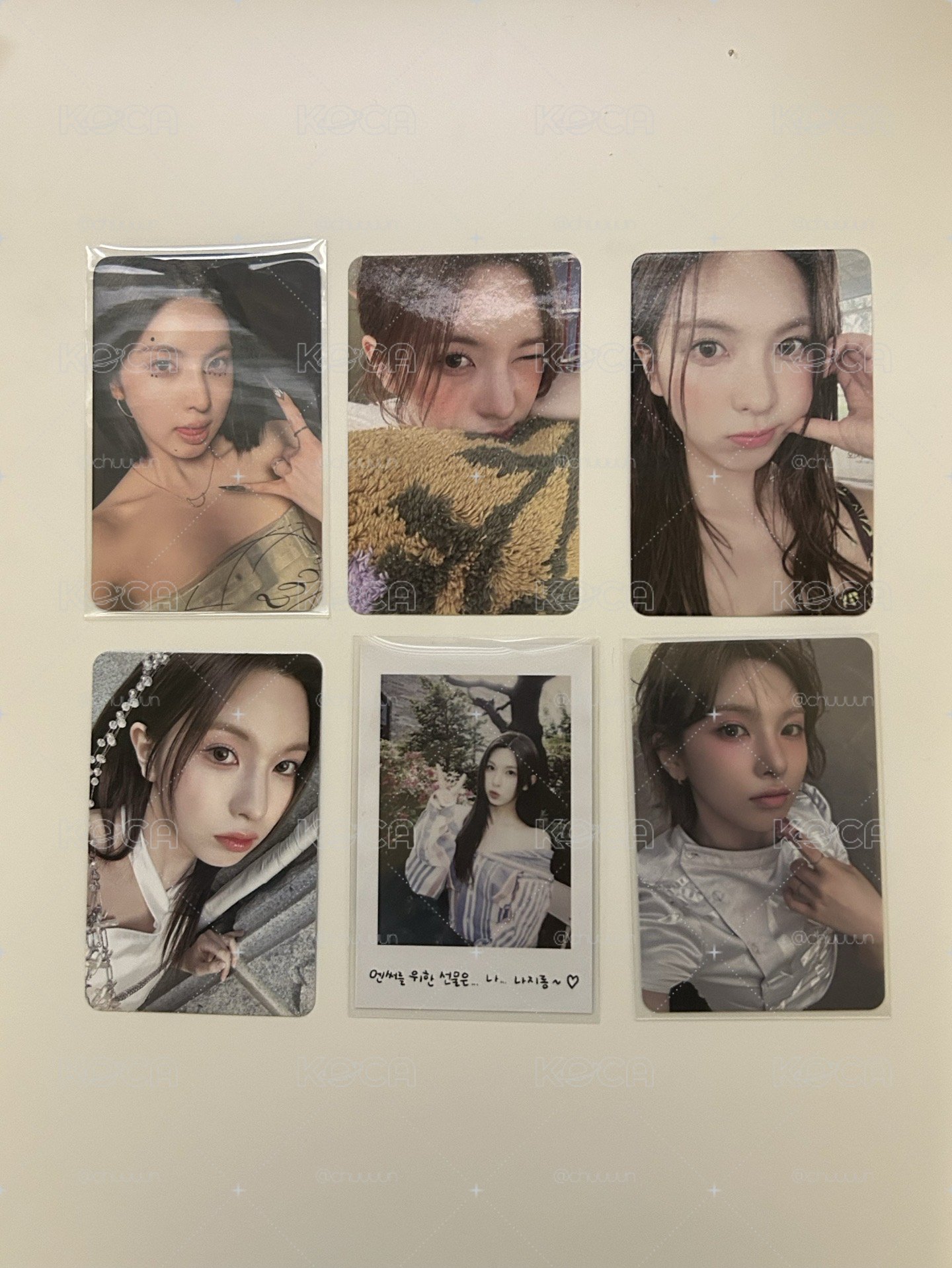 🐬裴卡