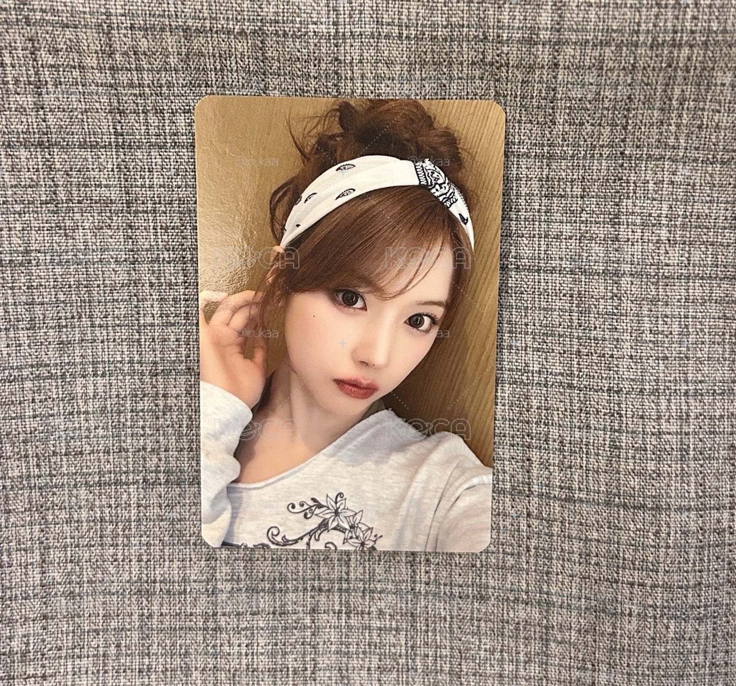 貌美頭巾小狗啾